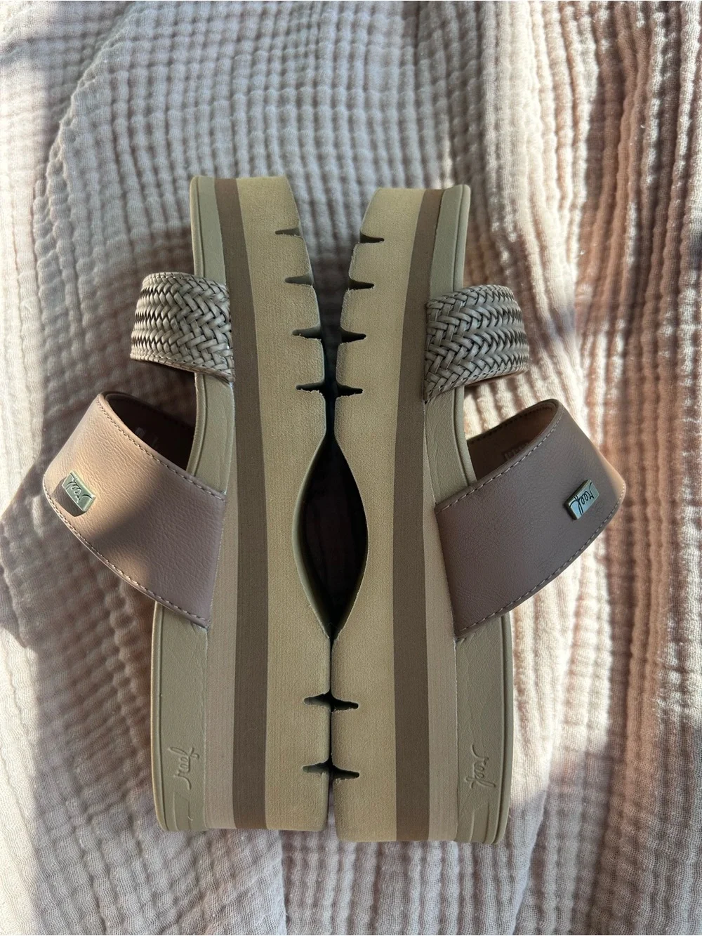 Reef Banded Horizon 2.5
